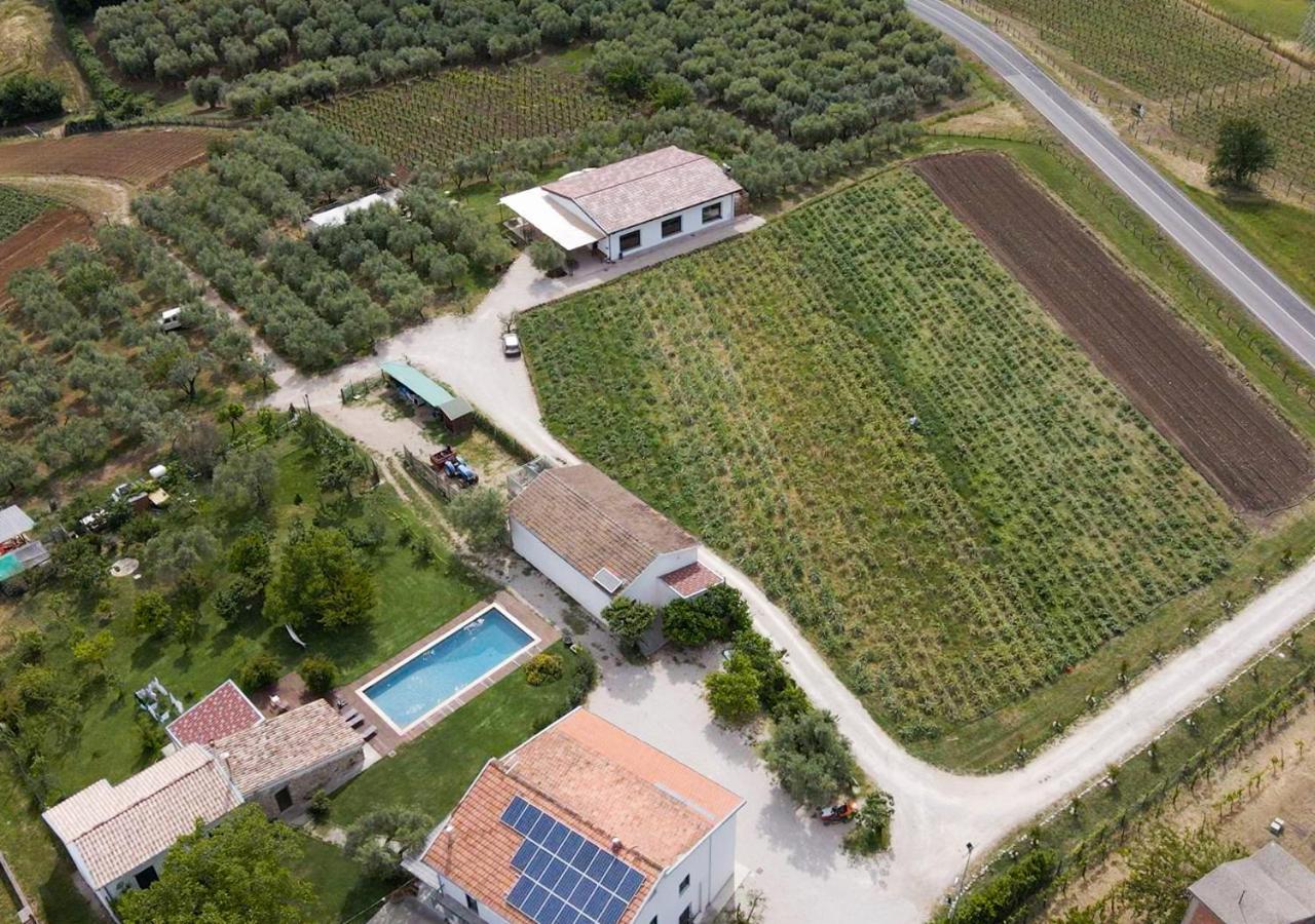 Casa Agricola Scorziello Villa Serre  Exterior photo